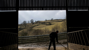 Rheinland-pf&auml;lzisches Dorf ist kleinste Gemeinde Deutschlands