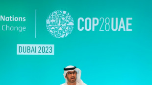 La COP28 aprueba el lanzamiento del fondo climático de daños y pérdidas para países vulnerables