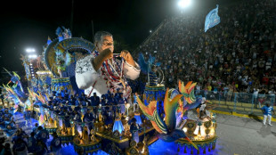 Beija-Flor &eacute; campe&atilde; do Carnaval do Rio com homenagem a diretor