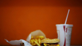 L'arr&ecirc;t d'un nouveau m&eacute;dicament anti-ob&eacute;sit&eacute; entra&icirc;ne une reprise de poids (&eacute;tude)