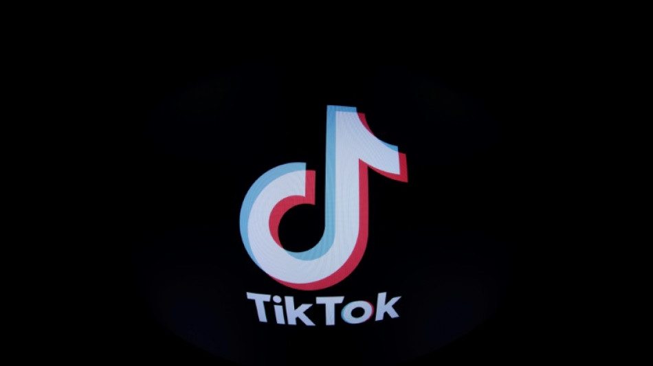 &Aacute;ustria proibir&aacute; TikTok nos celulares de uso profissional do governo