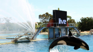 L'avenir des orques du Marineland d'Antibes, un casse-t&ecirc;te pour le gouvernement
