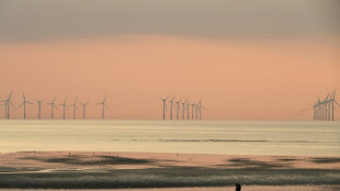 RWE errichtet in Großbritannien mit Konzern aus Emiraten zwei Offshore-Windparks