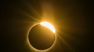 &iquest;Qu&eacute; esperan aprender los cient&iacute;ficos del eclipse total en Estados Unidos?