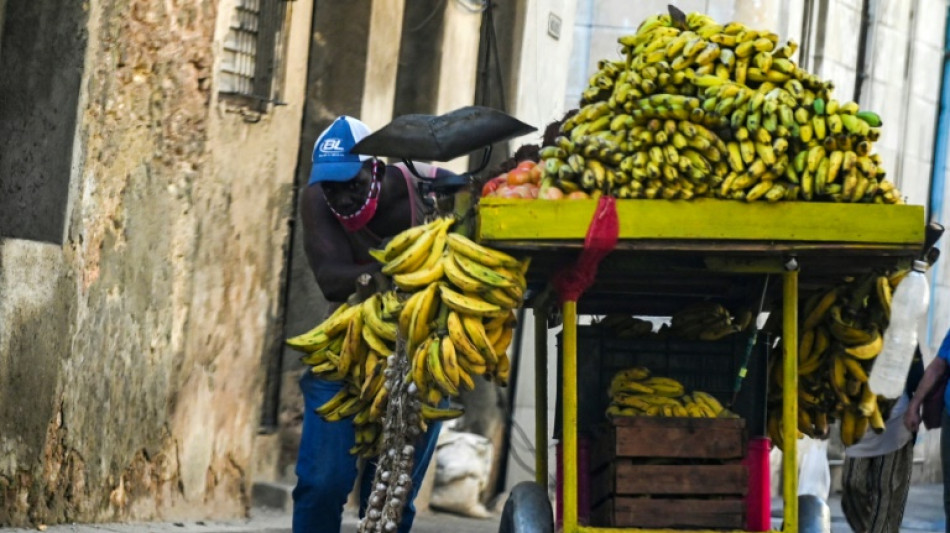 Cuba aplica nuevo impuesto a comerciantes privados de productos agropecuarios