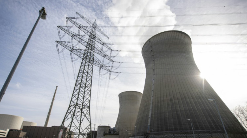 Umfrage: Mehrheit hält Investitionen in Atom- und Gaskraft nicht für nachhaltig
