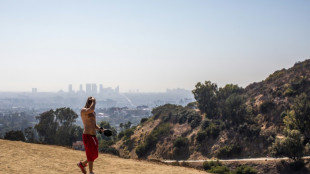 Spending a penny: Uproar over LA plan for $1 mn toilet