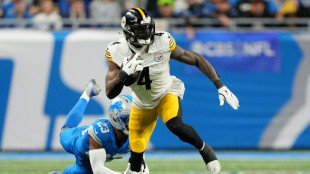 Steelers' Metcalf suspended two games over fan outburst
