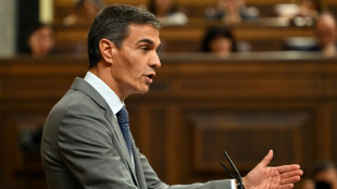 Spaniens Regierungschef S&aacute;nchez k&uuml;ndigt vorgezogene Neuwahlen im November an
