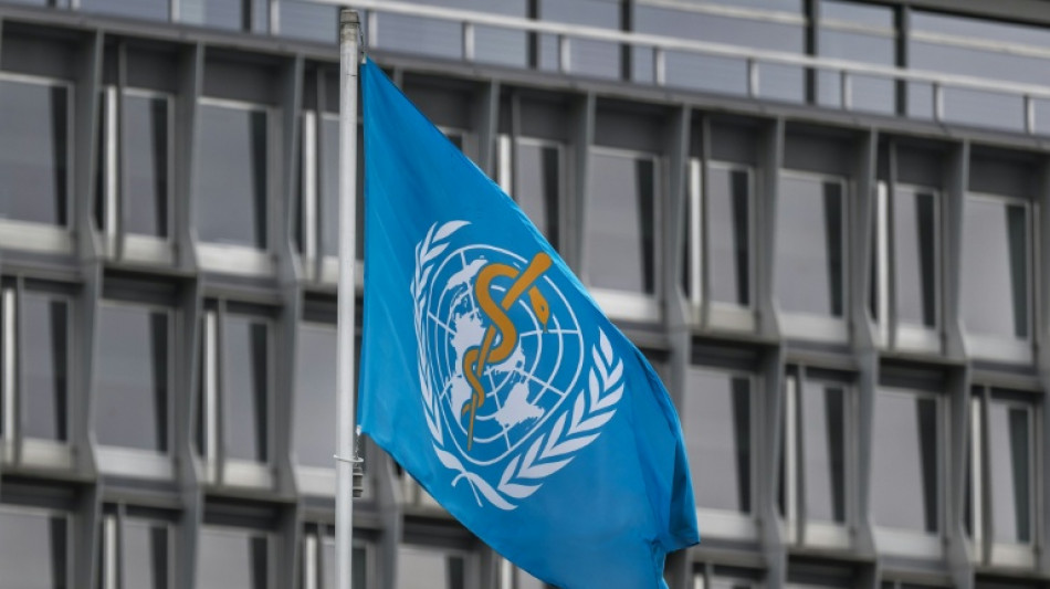 Jefe de la OMS viaja a Canarias para evacuaci&oacute;n del crucero con brote de hantavirus