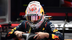 Verstappen lidera los segundos ensayos libres en el GP de F1 de Jap&oacute;n