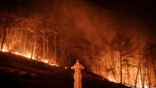 La Cor&eacute;e du Sud en proie aux incendies les plus destructeurs de son histoire 