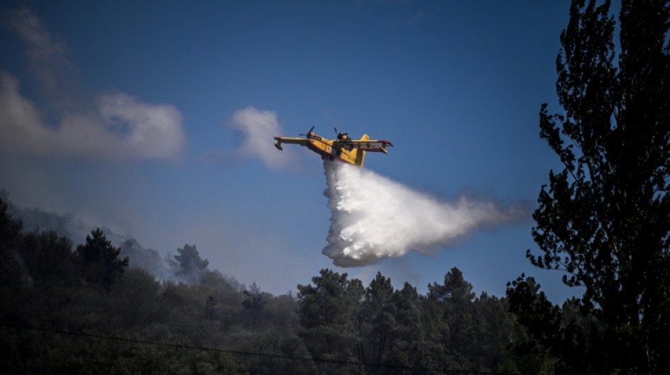 Le grand feu du parc naturel du centre du Portugal d&eacute;clar&eacute; ma&icirc;tris&eacute;