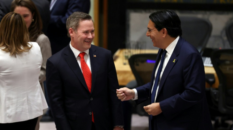 Israel dice que el plan de Trump para Gaza respaldado por la ONU traer&aacute; "paz y prosperidad"