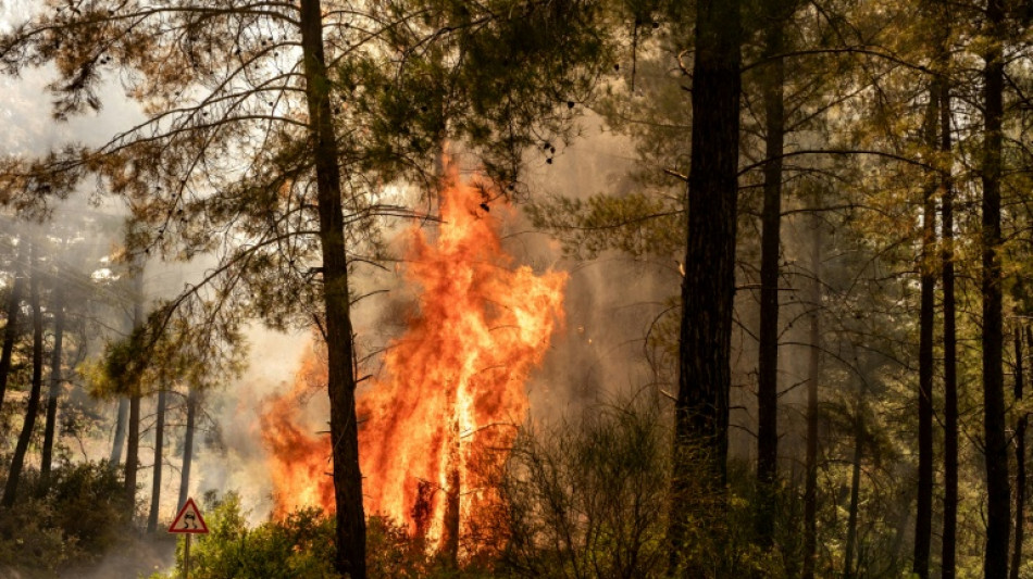 High winds hamper firefighting efforts in western Turkey 