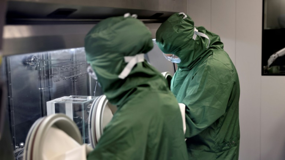 La inmunoterapia se asienta como un tratamiento clave contra el c&aacute;ncer