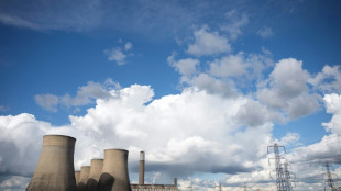 Electricit&eacute;: 140 ans apr&egrave;s, le Royaume-Uni dit "bye bye" au charbon