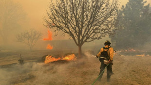 Lluvias "colaboran" en combate a mayor incendio forestal en la historia de Texas