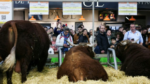 Salon de l'agriculture: pas de concours pour les vaches, pr&eacute;sence "symbolique" en discussion