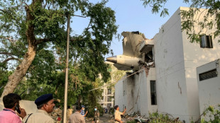 Air India says plane 'well-maintained' before crash