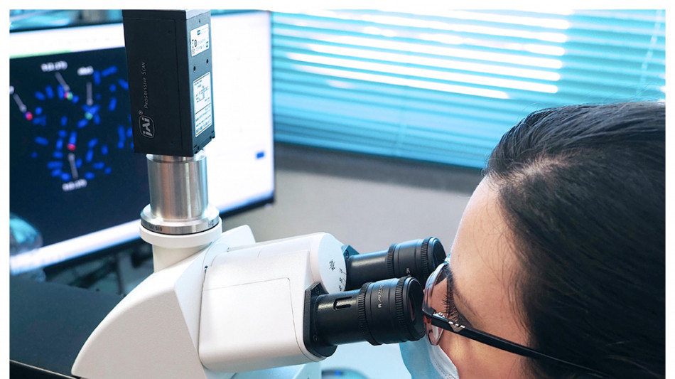 Trovato il punto debole delle cellule tumorali pi&ugrave; resistenti