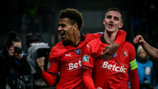 Coupe de France: Rennes passe, Le Puy sort avec les honneurs