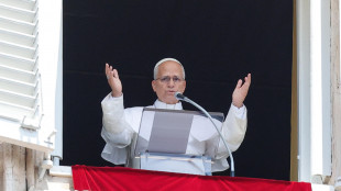 Il Papa, 'basta violenze in Ucraina e Russia, spazio alla diplomazia'