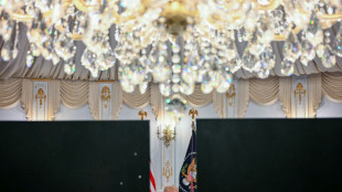 Dans le Tennessee, une législative partielle fait trembler le parti de Trump