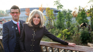 La Chine enverra deux nouveaux pandas géants en France d'ici à 2027