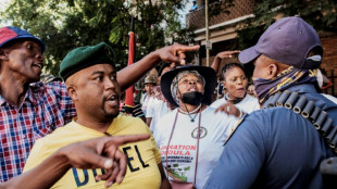 Proteste gegen Arbeitsmigranten in Südafrika
