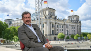 S&ouml;der kritisiert Gesetz zu "Fragebogen-Armee" und fordert Wehrpflicht