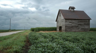 Trump administration re-approves twice-banned pesticide 