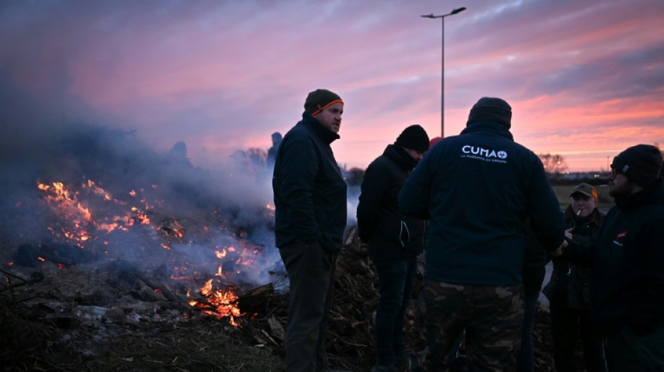 Accord UE-Mercosur: barrage filtrant d'agriculteurs au port du Havre