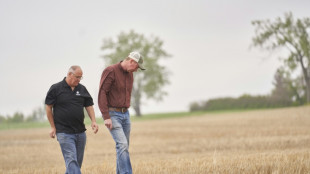 Canad&aacute; expresa su decepci&oacute;n por los aranceles chinos a la canola
