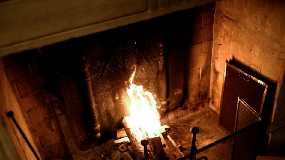 Umweltverb&auml;nde warnen vor Zulassung neuer Holzheizungen