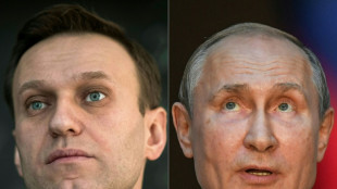 Navalni, el opositor número 1 del que Putin nunca pronuncia el nombre