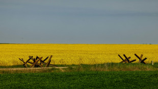 Evac&uacute;an a otros 50 civiles de la acer&iacute;a ucraniana de Azovstal, bajo asedio ruso