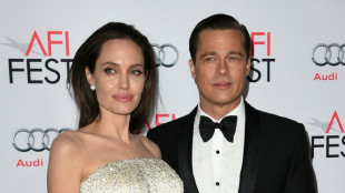 Angelina Jolie y Brad Pitt firman un acuerdo de divorcio, seg&uacute;n revista