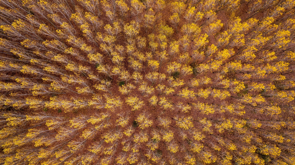 Scoperti microrganismi spazzini a 20 metri di profondit&agrave;