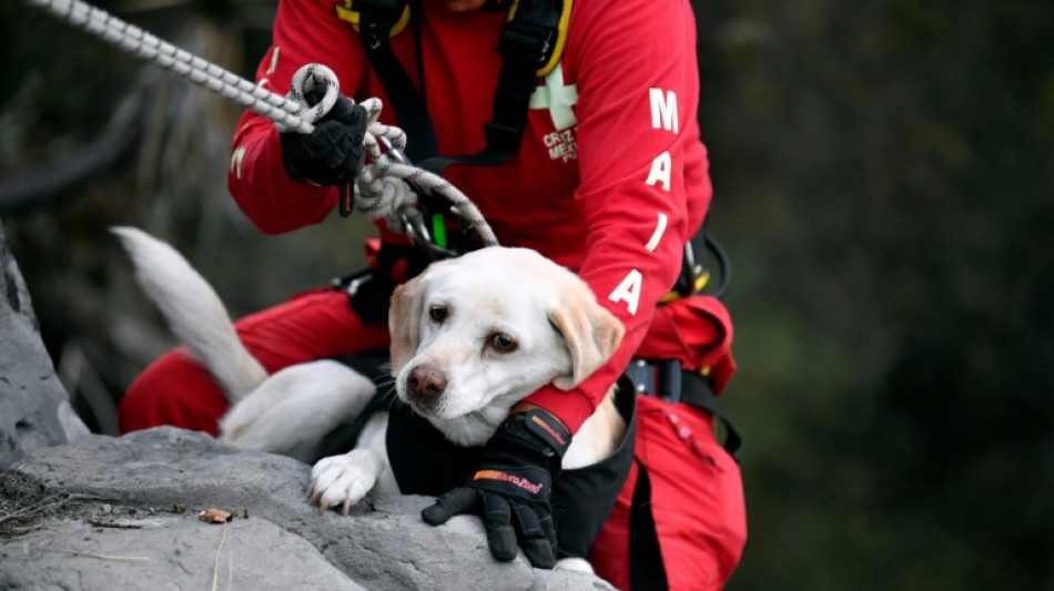 Mexican rescue dogs prepare for next emergency mission