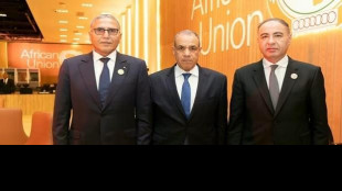 Egitto, Ciad e Libia rilanciano alleanza Sahel-Sahariana contro il terrorismo