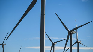 Programmation &eacute;nerg&eacute;tique: un moratoire sur l'&eacute;olien et le solaire fait d&eacute;railler l'examen &agrave; l'Assembl&eacute;e