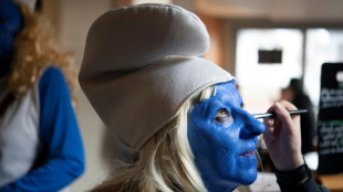 Le record du monde des schtroumpfs &eacute;chappe de peu &agrave; Landerneau