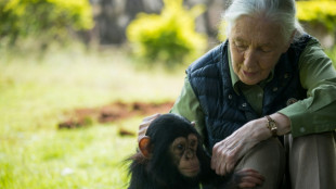 Jane Goodall's final wish: blast Trump, Musk and Putin to space