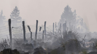 Journ&eacute;e d&eacute;cisive pour "encercler d&eacute;finitivement" l'incendie en Belgique