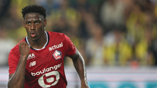 Play-offs: Zagreb mit besten Chancen auf die K&ouml;nigsklasse