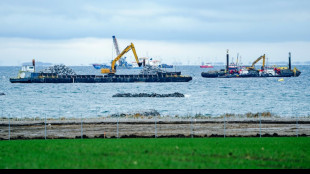 Tödlicher Unfall auf Baustelle für Fehmarnbelt-Tunnel