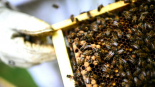 Pestizid-Petition setzt franz&ouml;sische Regierung unter Druck