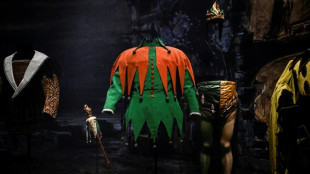 Exposi&ccedil;&atilde;o no Louvre aborda a figura do louco da Idade M&eacute;dia aos tempos do Romantismo