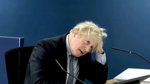 Boris Johnson pide disculpas por "el dolor y las p&eacute;rdidas" causados a las v&iacute;ctimas del covid